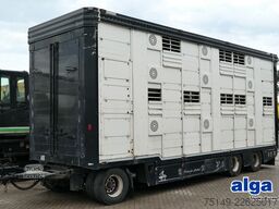  Stehmann, 3 Etagen, Schweine/Ferkel, 59,5m³, BPW