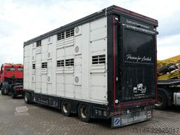  Stehmann, 3 Etagen, Schweine/Ferkel, 59,5m³, BPW