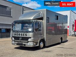 MERCEDES-BENZ Atego 818L