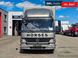 MERCEDES-BENZ Atego 818L