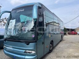 Man Lion's Regio