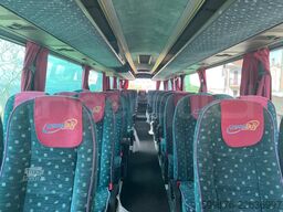 Man Lion's Regio