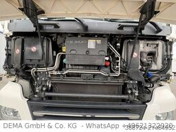 MAN TGX18460*XXL*E6c*Intarder*Kühlbox*Standklima*