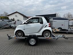 Neptun Multi kippbar 3,05x1,66m 1300kg GN155