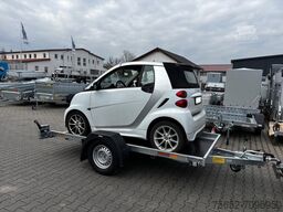 Neptun Multi kippbar 3,05x1,66m 1300kg GN155