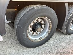 SOR Iberica SOR-S3E / Carrier Vector 1550 / Kuhl Koffer / L...