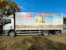 MAN 15.290 TGM, LBW Bj. 2022, Blatt/Luft, Euro 6