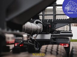 Hoet Trailers TREE TRANSPORT w DOLLY