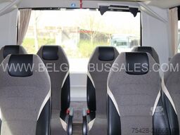 Indcar Wing / Very nice / Touristic