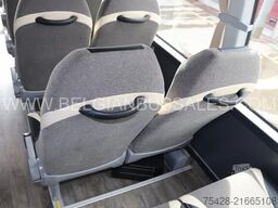 Indcar Wing / Very nice / Touristic