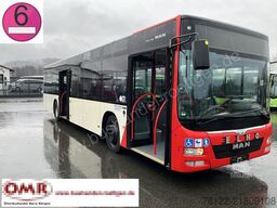 MAN A 37 Lion´s City