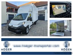 Opel Movano 180 PS Koffer GFK LBW 2,38 Höhe sofort