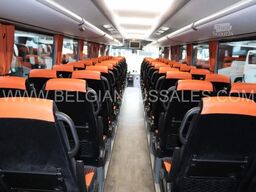 Iveco Evadys 13m / Rear door / 3-Point seat belts / N...