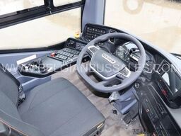 Iveco Evadys 12m / Rear door / 3-point seat belts / N...