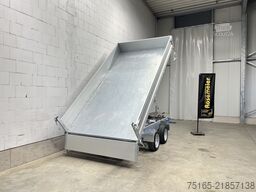 Variant 3519 TB 30 mit Blattfedern Dreiseitenkipper