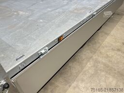 Variant 3519 TB 30 mit Blattfedern Dreiseitenkipper