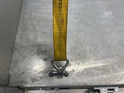 Variant 3519 TB 30 mit Blattfedern Dreiseitenkipper