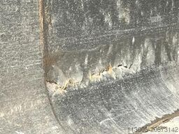 Benalu Non spécifié