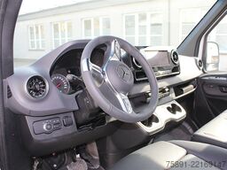 Mercedes-Benz Sprinter 315 Pferdetransporter 2 Ride
