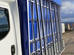 IVECO Daily Pritsche/ Planenaufbau mit Glasreff