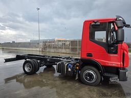 IVECO 80E19