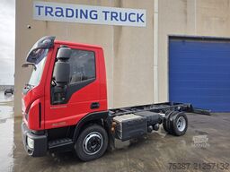 IVECO 80E19