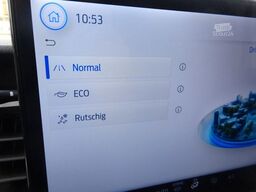 FORD Transit Kasten 350 L3H2 Trend 130PS HA Express