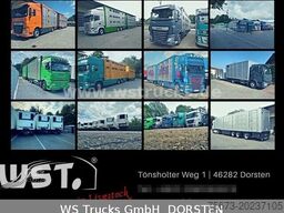 WST Edition 4500 3500kg Viehanhänger