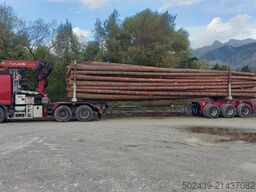 Volvo FH16 750 6x4 + Semi remorque forestière DIEBOLT