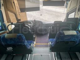 Iveco Domino