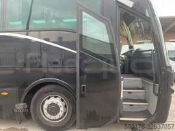 Iveco Domino