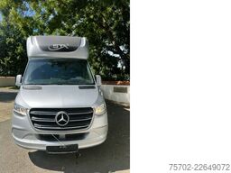 Mercedes-Benz Sprinter 319 STX 1-2 Pferde Hengsttrennung