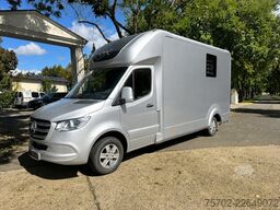 Mercedes-Benz Sprinter 319 STX 1-2 Pferde Hengsttrennung