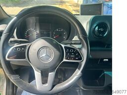 Mercedes-Benz Sprinter 319 STX 1-2 Pferde Hengsttrennung