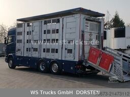 SCANIA R 580 V8 Menke-Janzen 3 Stock Hubdach Tränken