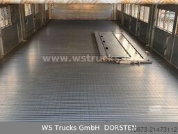 SCANIA R 580 V8 Menke-Janzen 3 Stock Hubdach Tränken