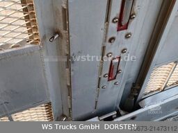 SCANIA R 580 V8 Menke-Janzen 3 Stock Hubdach Tränken