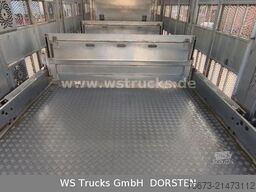 SCANIA R 580 V8 Menke-Janzen 3 Stock Hubdach Tränken