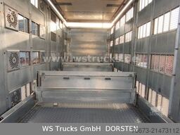 SCANIA R 580 V8 Menke-Janzen 3 Stock Hubdach Tränken