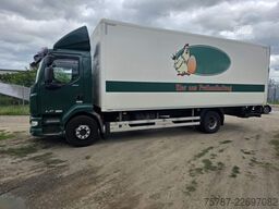 DAF LF 260 Koffer 14 Tonner, LK,BW, Rückfahrkamera