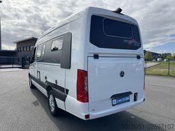 MALIBU Genius 641 LE Cherry Style Last Edition