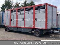  KABA Einstock 1 Stock Großvieh TOP