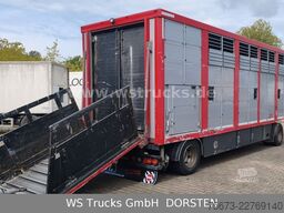  KABA Einstock 1 Stock Großvieh TOP