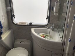 Road Birds Road Birds Road Birds