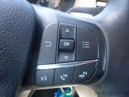 FORD Transit Doka Pritsche 350 L2 4x4 Winterdienst