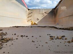 Benalu BENNE TP 25m3