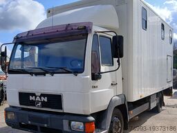 MAN 8153 PAARDENVRACHTWAGEN