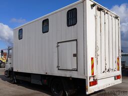 MAN 8153 PAARDENVRACHTWAGEN