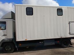 MAN 8153 PAARDENVRACHTWAGEN