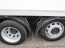 MAN TGX 26.400 / IGLOOCAR 20 pallets